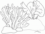 coloring picture of coral