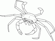 coloring picture of crab