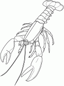 coloring picture of lobster