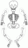 coloring picture of a skeleton to be cut out