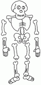 coloring picture of pieces of skeleton