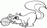 coloring picture of Squirrel with a nut