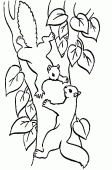 coloring picture of Two squirrels in a tree