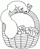 coloring picture of basket of nuts with squirrel