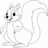 coloring picture of squirrel picture