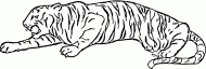 coloring picture of picture of a tiger