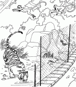 coloring picture of tiger and monkeys