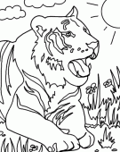 coloring picture of tiger in savanna