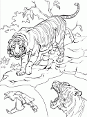 coloring picture of tiger