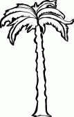 coloring picture of palm tree