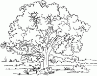 coloring picture of tree in a meadow