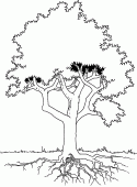 coloring picture of tree with roots