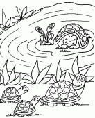 coloring picture of Families of turtles around the water