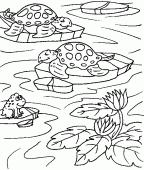 coloring picture of Two tortoises on two small islands