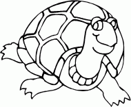 coloring picture of big turtle