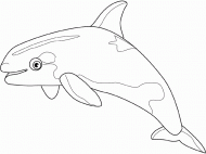 coloring picture of orca