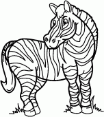 coloring picture of zebra stripes ready to be colored