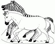 coloring picture of zebra with horse
