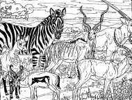coloring picture of zebra with some animals