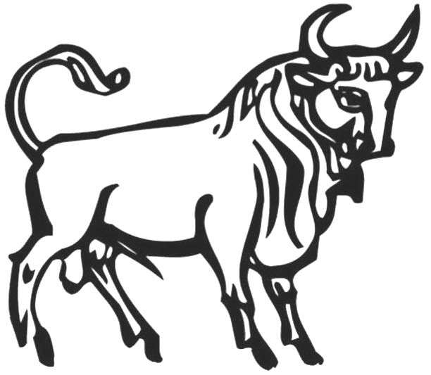 Bull