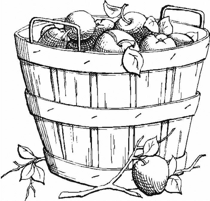 an apple basket