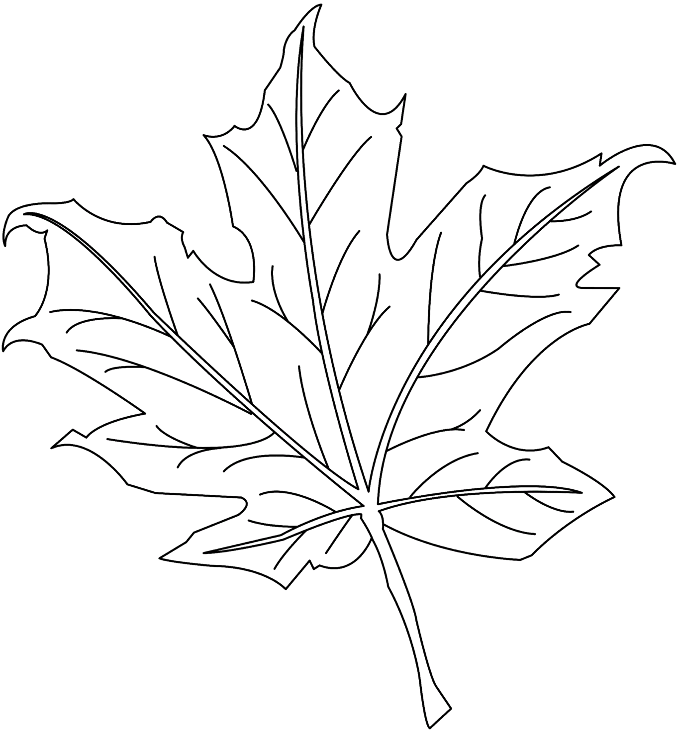 maple leaf