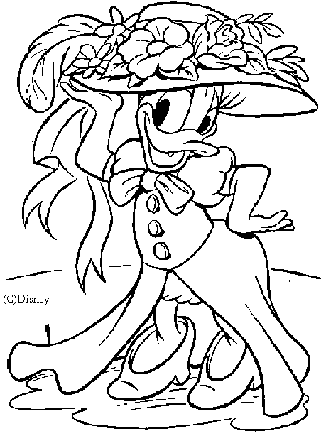 Daisy with a hat