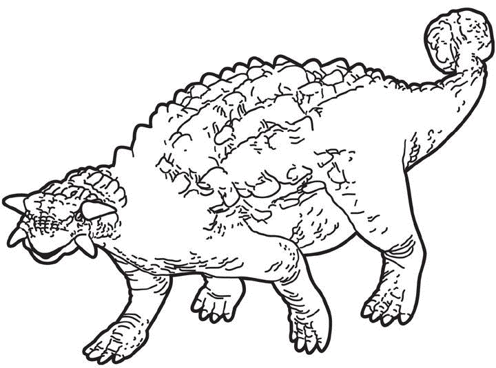 ankylosaurus