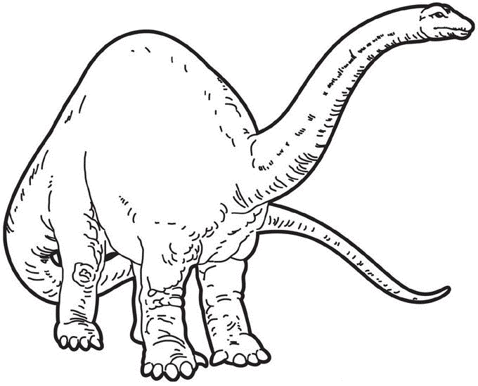 coloring apatosaurus picture