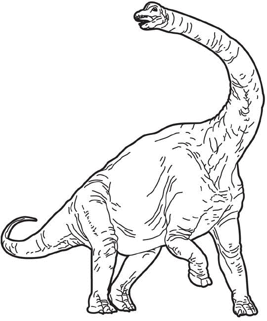 brachiosaurus