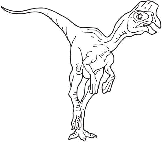 oviraptor