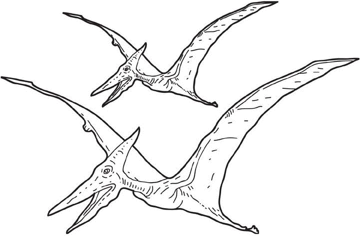 pterosaur