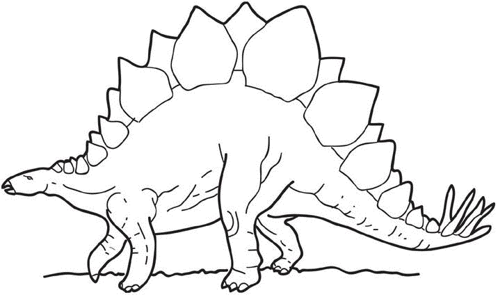 Stegosaurus Coloring Page