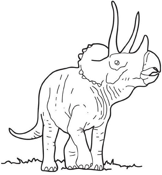 triceratops