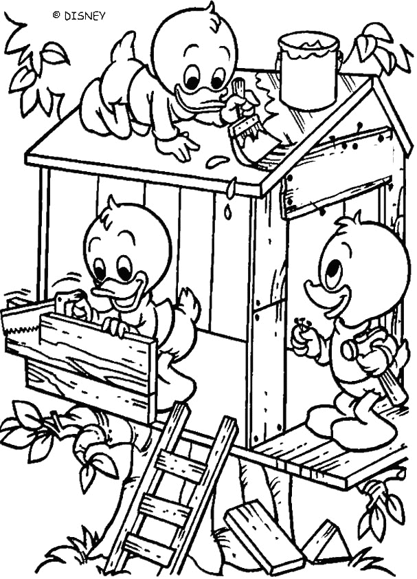 Huey Dewey Louie build a hut with planks of wood