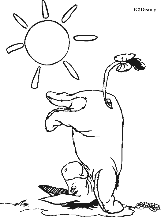 Eeyore and sun