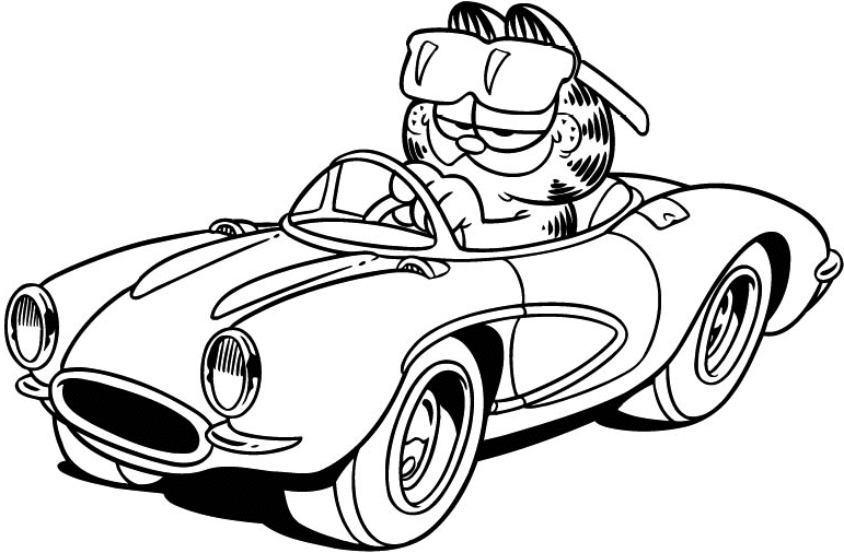 Garfield drives a car