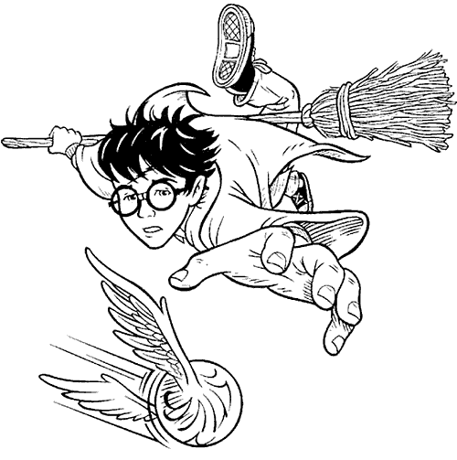 Harry plays Quidditch with his besom broom
