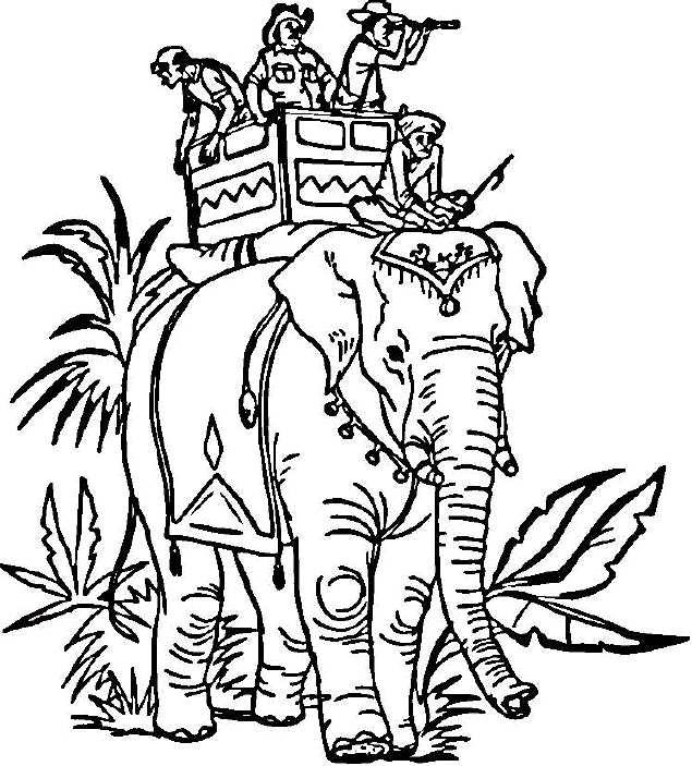 Indian elephant carrying people