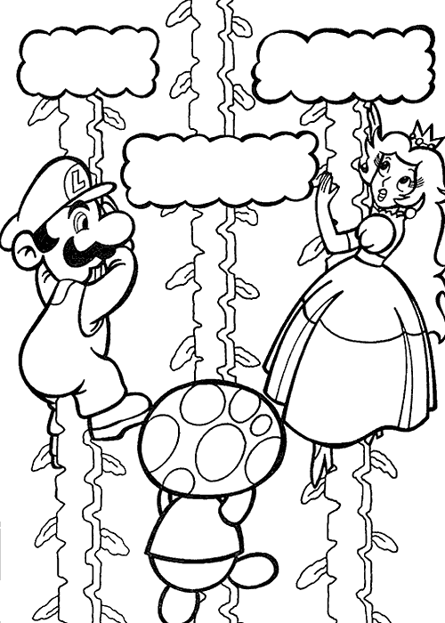 Mario Bros Toad and Princess Peach