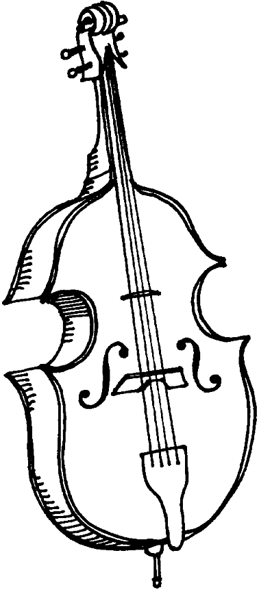 double bass