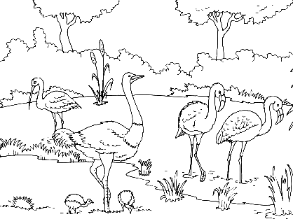 an ostrich and some pink flamingos in a zoo
