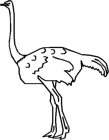 an ostrich with its long neck