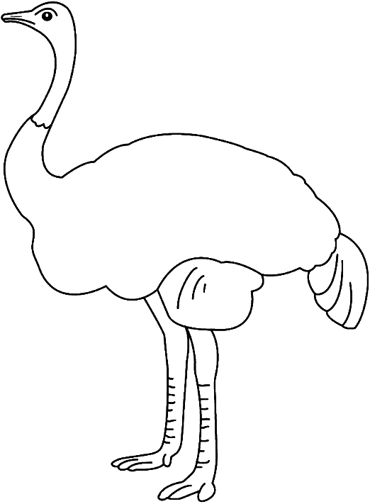 drawing to be colored of an ostrich