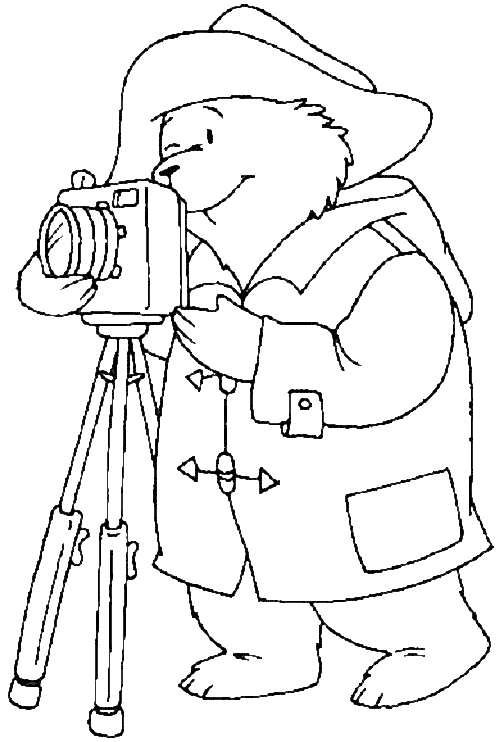 Paddington with a camera