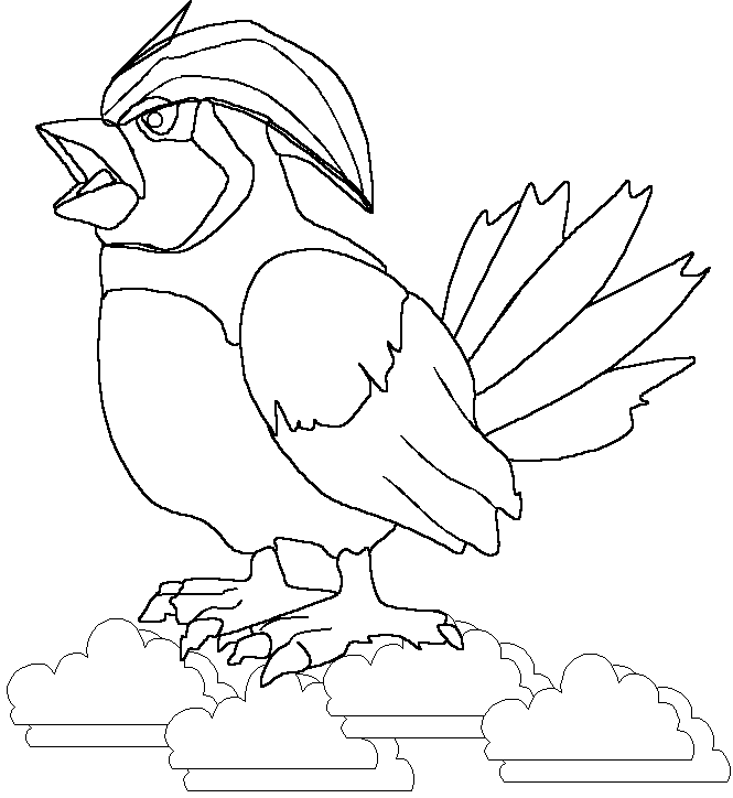 017 pidgeotto