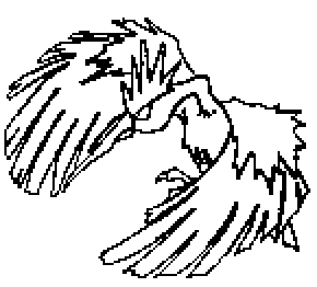 pokemon 022 fearow