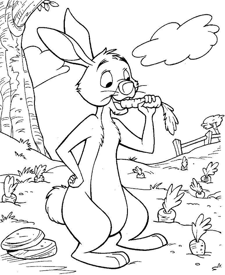 Rabbit pooh is eatinga carrot