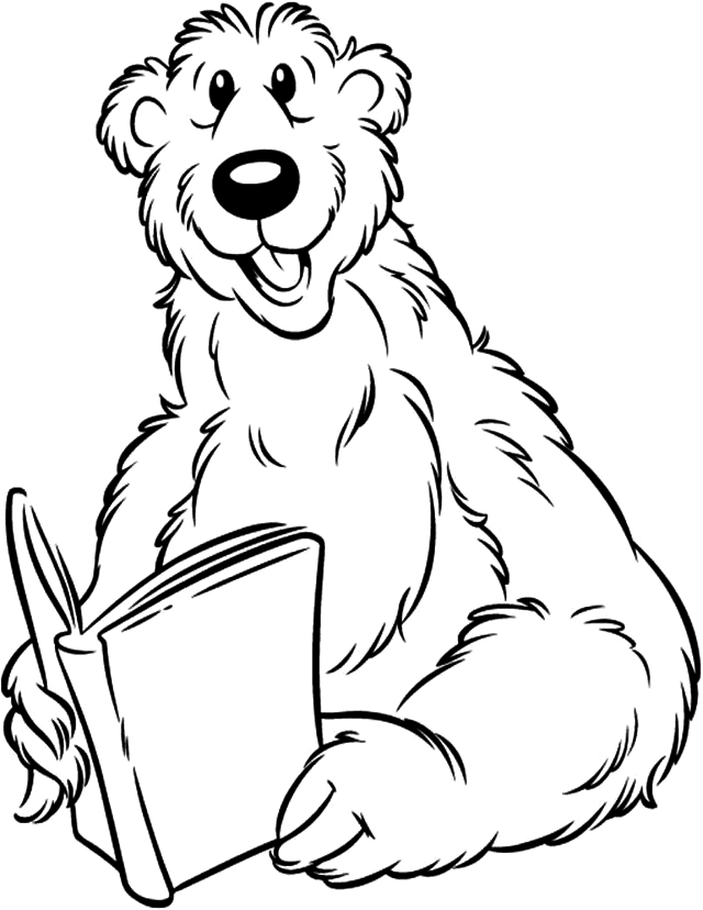 a bear reading a book