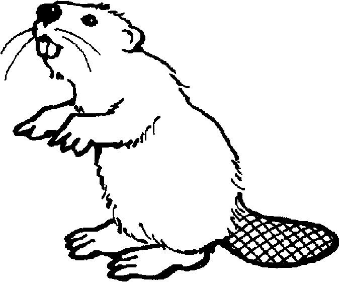 beaver standing on two legs